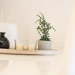 Skg Dream Apartament
